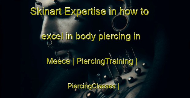 Skinart Expertise in how to excel in body piercing in Meece | PiercingTraining | PiercingClasses | SkinartTraining-United States